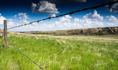 An old barbed wire fence over looking a pasture along the South Saskatchewan river valley in Alberta Canada.