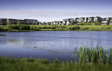Bir fırtına koruma havuzu Airdrie Alberta Kanada 'da yeni bir şehir topluluğunda doğal yaşam alanı oluşturur..
