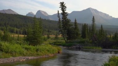 Alberta Kanada 'daki Crowsnest Nehri' nin yavaş çekim HD görüntüleri..