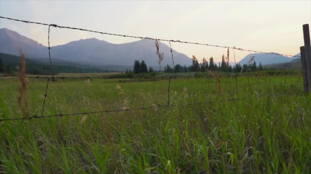 Pan Cámara Lenta Largo Una Cerca Alambre Atardecer Paso Crowsnest — Vídeo de stock