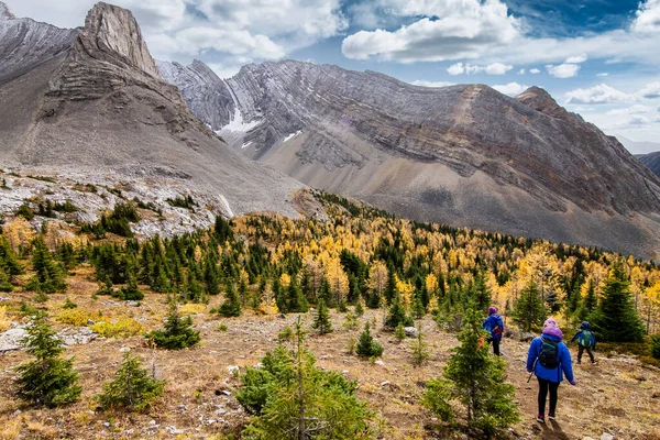 Kanada Kayalıkları 'ndaki Arethusa Sirki' nde sonbahar renklerinde karaçam ağaçlarının üzerinden bakan bir aile..