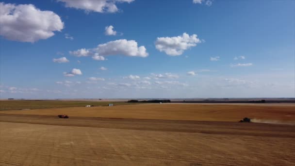캐나다 앨버타주에서 밀밭을 수확하는 모습을 공중에서 — 비디오