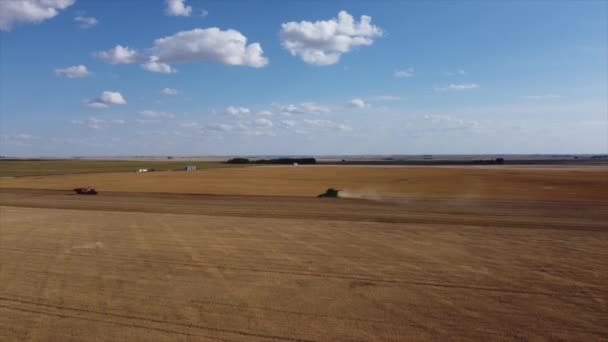 艾伯塔省麦田联合收获的空中景观 — 图库视频影像