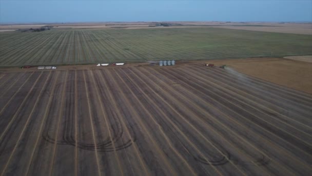 캐나다 앨버타주에서 밀밭을 수확하는 모습을 공중에서 — 비디오