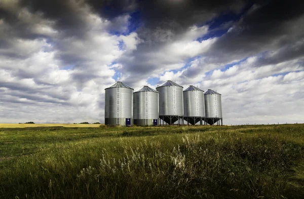 Spannmålssilor Stående Högt Ett Skördat Vetefält Dramatisk Himmel Rockyview County — Stockfoto