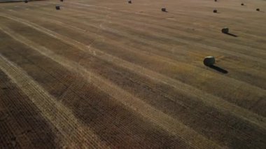 Alberta Kanada 'da saman balyaları üzerinde uçan bir uçak..