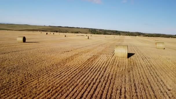 Vuelta Aérea Alrededor Hay Bales Las Praderas Alberta — Vídeos de Stock