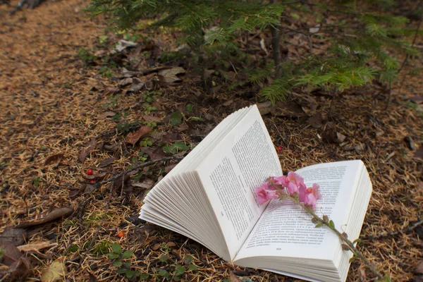 read books in nature