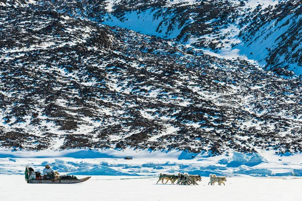 Qaanaaq Greenland Musher Sus Perros Viaje Turístico Trineo Para Perros — Foto de Stock