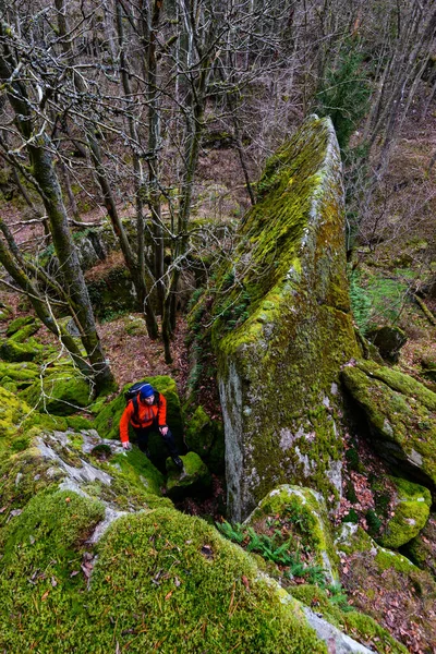 森の中の苔の岩の妖精ビュー — ストック写真