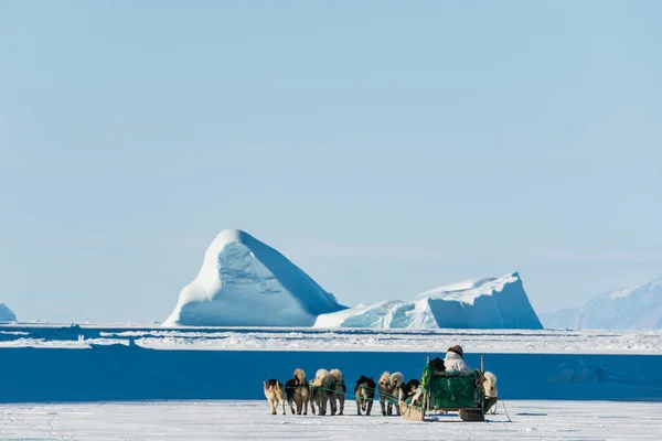 Qaanaaq Greenland Musher His Dogs Tourist Dog Sled Trip — Stock Photo, Image