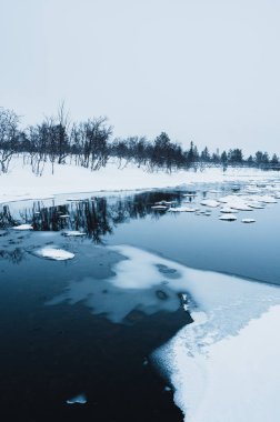 Kışın, ormanın yakınındaki donmuş bir gölün güzel manzarası.