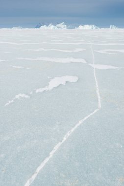 Donmuş denizin güzel manzarası, Grönland