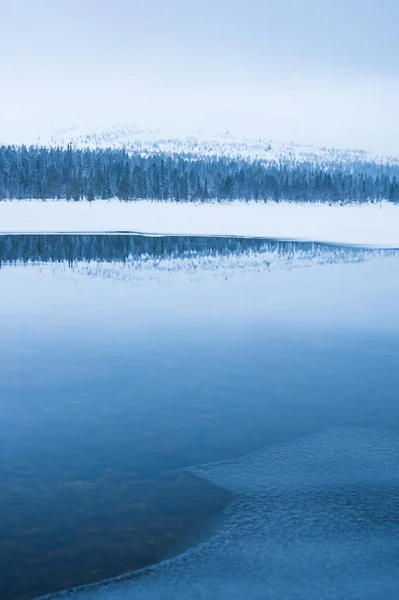 Вид Замерзшее Озеро Рядом Лесом Зимой — стоковое фото