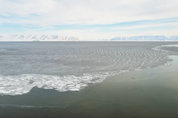 Ledovec Zamrzlém Moři Grónsko — Stock fotografie