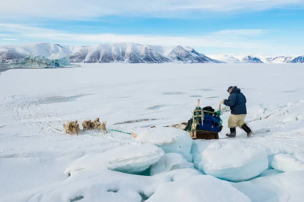 Qaanaaq Greenland Musher Och Hans Hundar Tur Med Turisthundspann — Stockfoto