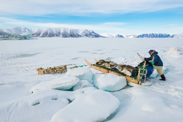 Qaanaaq Greenland Musher Sus Perros Viaje Turístico Trineo Para Perros —  Fotos de Stock