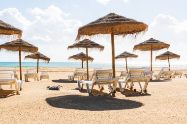 Karantina zamanında kumsalda boş güverte sandalyelerinin yanında yatan martı.
