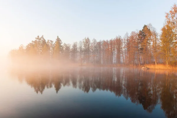 Красивый Утренний Туман Озере Отражениями — стоковое фото