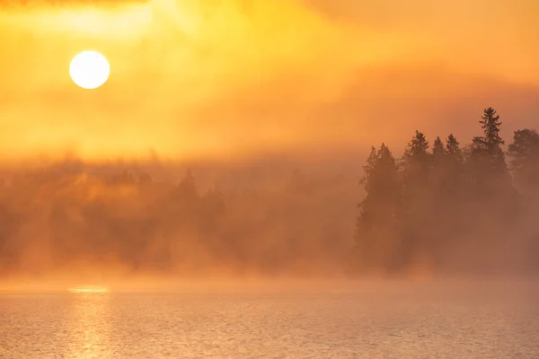 Beau Brouillard Matinal Bord Lac Avec Reflets — Photo