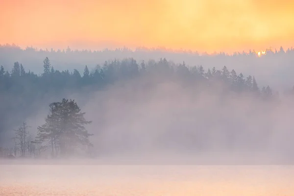 Όμορφη Θέα Της Ανατολής Στην Πρωινή Ομίχλη Στη Λίμνη — Φωτογραφία Αρχείου