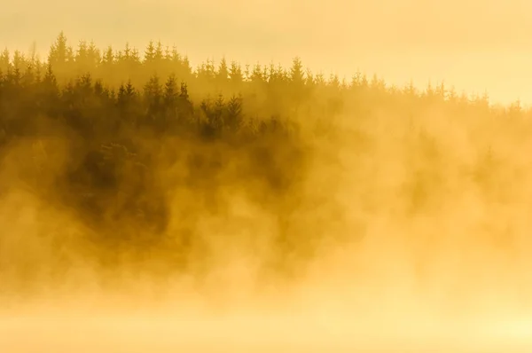 Belle Vue Sur Lever Soleil Dans Brouillard Matinal Sur Lac — Photo