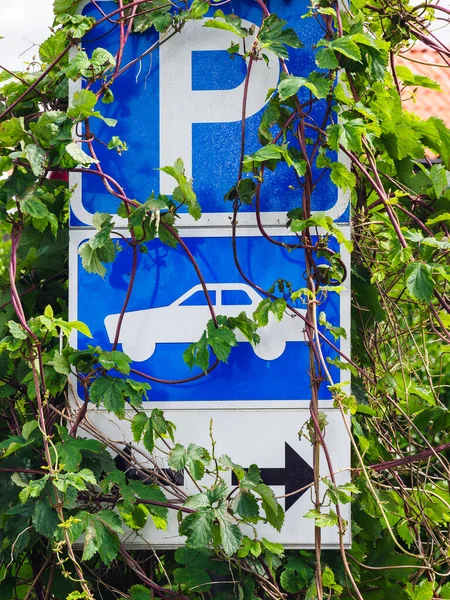 Parkschild Wird Von Grünpflanzen Überwuchert — Stockfoto