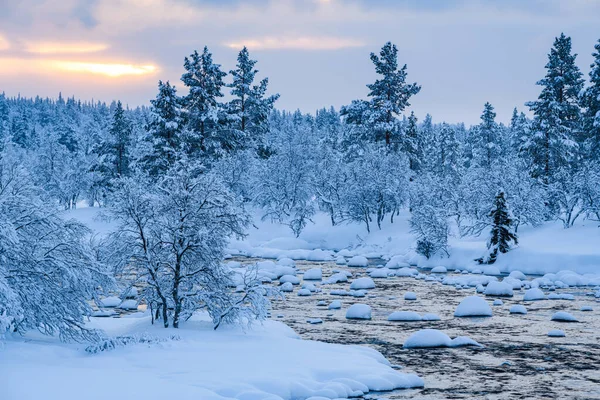 Θέα Στο Δάσος Ποτάμι Vinter — Φωτογραφία Αρχείου
