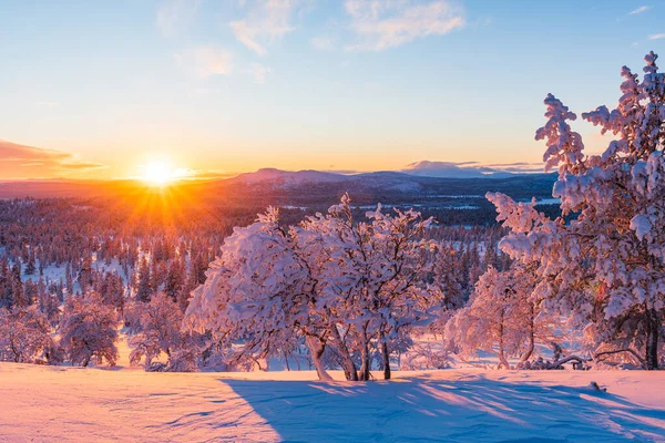 Bela Vista Floresta Inverno Pôr Sol — Fotografia de Stock