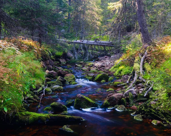 Fiume Che Scorre Attraverso Foresta Dalarna Svezia — Foto Stock