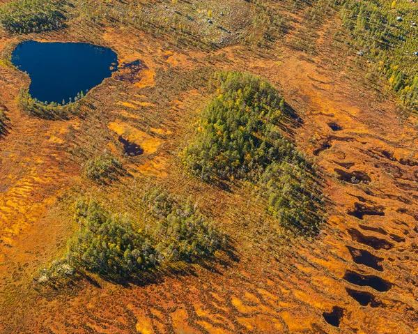 Bažina Malé Jezero Shora — Stock fotografie