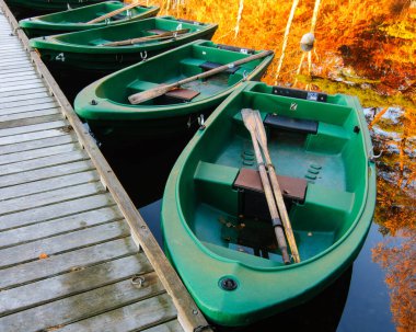 İskeleye zincirlenmiş yeşil kayıklar