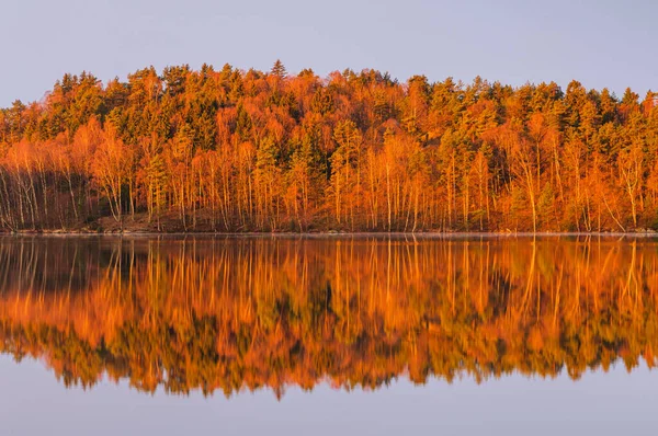Blick Auf Bäume Reflexionen Auf Schönen Ruhigen See — Stockfoto