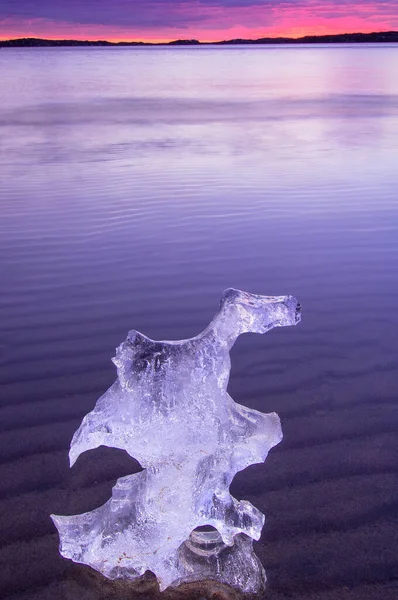 Блок Льоду Лежить Поверхні Води — стокове фото