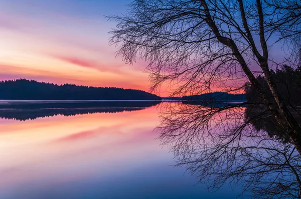 Vue Des Arbres Réflexions Sur Beau Lac Tranquillité — Photo