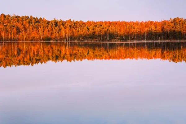 Vue Des Arbres Réflexions Sur Beau Lac Tranquillité — Photo