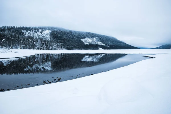 Hillside Reflejado Agua Noruega —  Fotos de Stock