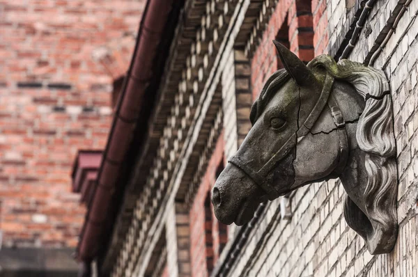 Statua Una Testa Cavallo Sul Muro Della Vecchia Casa — Foto Stock