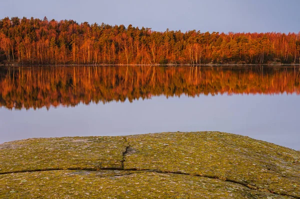 Vista Los Árboles Reflexiones Hermoso Lago Tranquilidad — Foto de Stock