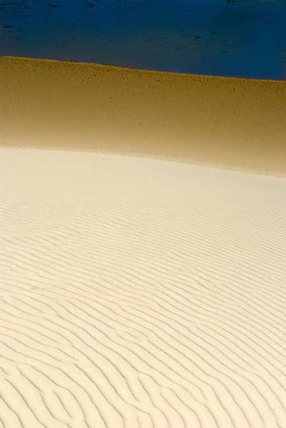 海岸の砂の波紋 デンマーク ヨーロッパ — ストック写真
