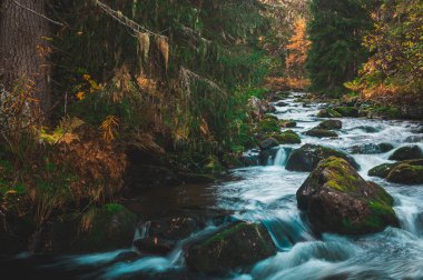İsveç 'teki Fulufjallet Ulusal Parkı' ndan geçen sakin bir nehir sonbaharda akar. Huzurlu suyu çevreleyen renkli yapraklar bölgenin doğal güzelliğini artırıyor..