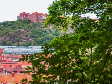 Göteborg 'daki yeşil ağaçların ve tepelerin arasına kurulmuş kırmızı çatıların çarpıcı manzarası. Sahne, şehrin cazibesini yansıtan eşsiz mimariyi doğanın ortasında yakalıyor..