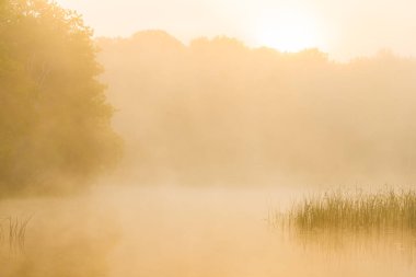 A soft mist blankets a river in Sweden during sunrise, casting a warm glow over the water. The gentle light reveals lush trees and reeds, creating a peaceful scene in nature.