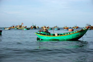 Vietnam 'daki deniz yaşamı
