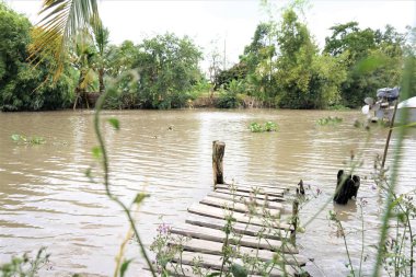 Mekong deltasının güzel kırsalları