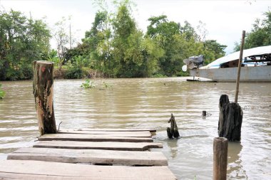 Mekong deltasının güzel kırsalları