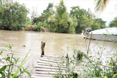 Mekong deltasının güzel kırsalları