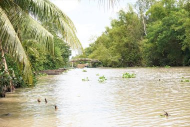 Mekong deltasındaki faaliyetler