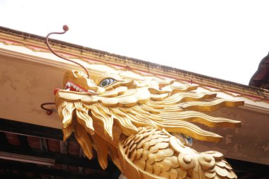 Eski evdeki altın ejder kafası