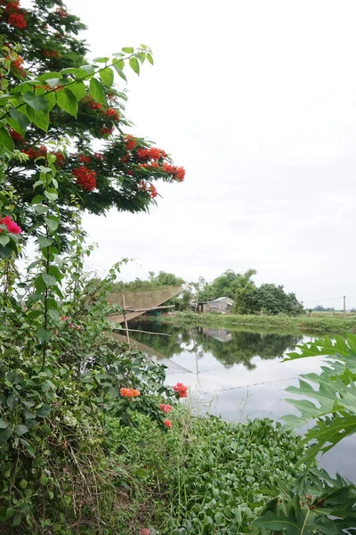 Вид Деревню Центре Вьетнама — стоковое фото